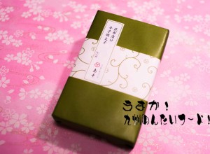 昆布辛子明太子　パッケージ