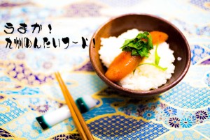 昆布辛子明太子　ご飯のせ