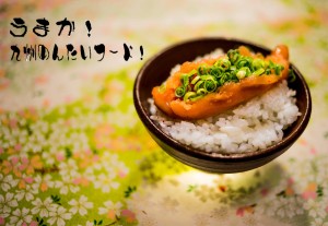 博多あごおとし 盛付