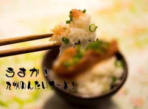 博多あごおとし 実食